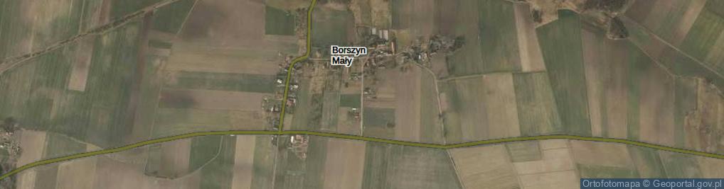Zdjęcie satelitarne Borszyn Mały ul.